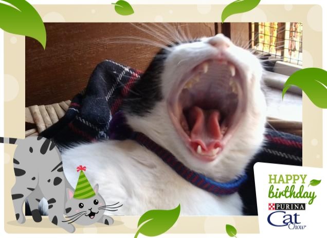 #happybirthdaycatchow92