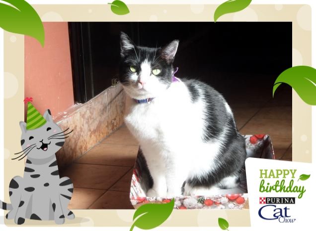 #happybirthdaycatchow94