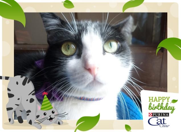 #happybirthdaycatchow97