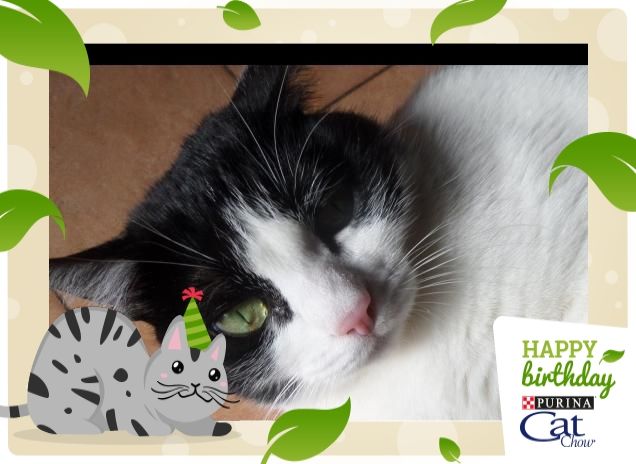 #happybirthdaycatchow98