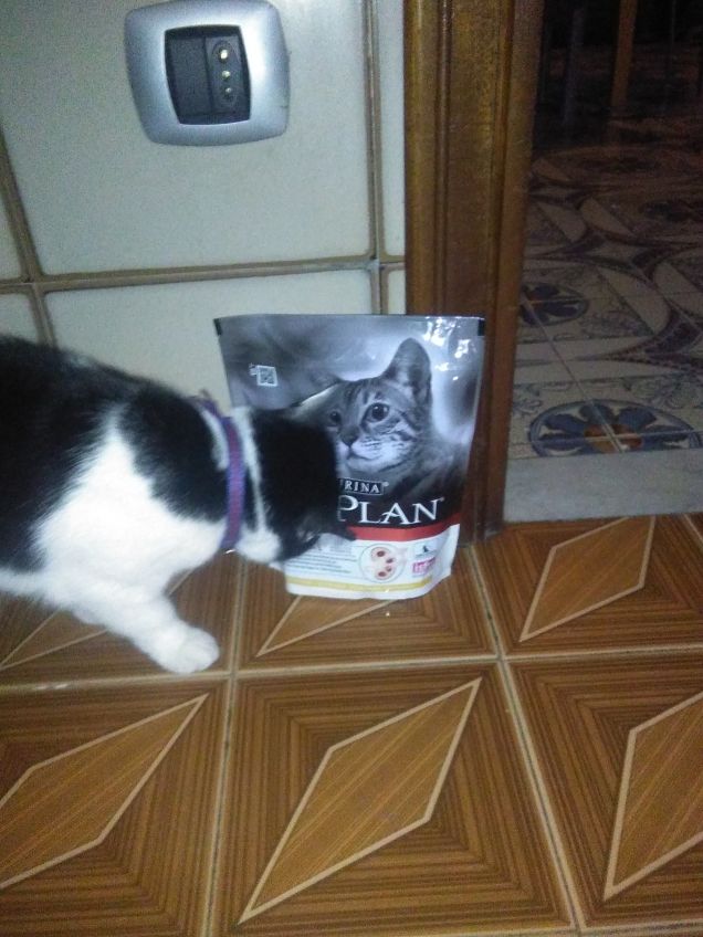 Diana & Purina Pro Plan-Top User Prize 1