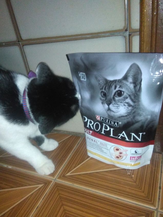 Diana & Purina Pro Plan-Top User Prize 2