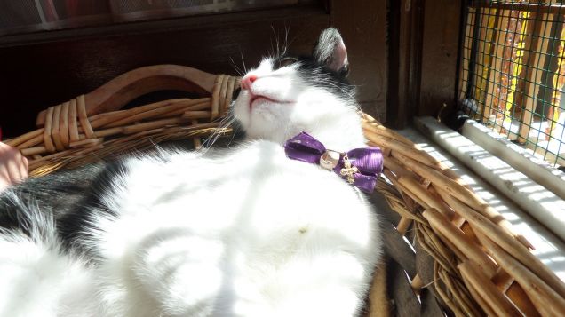 Relax ( a bocca aperta )