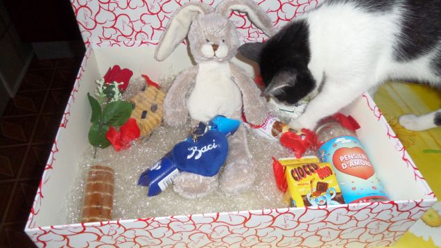 E il croccantino di San Valentino per me? 1