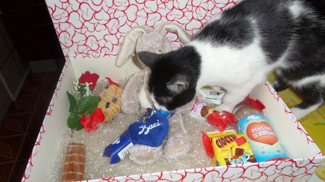 E il croccantino di San Valentino per me? 2