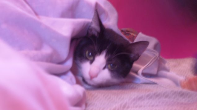 After-sterilization 1