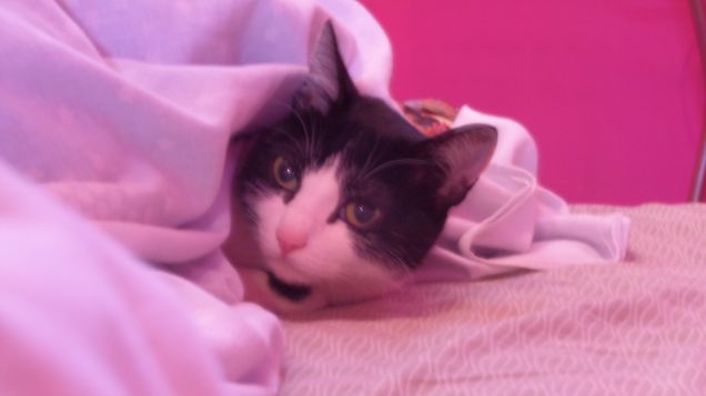 After-sterilization 2