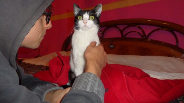 After-sterilization 3