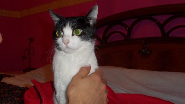 After-sterilization 4