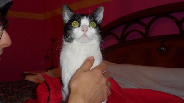 After-sterilization 5