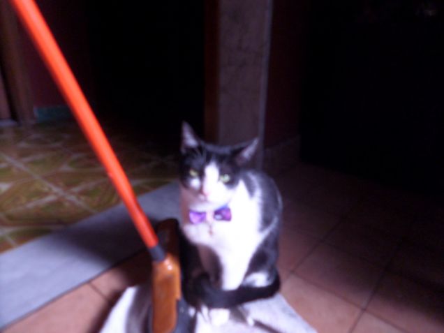 Lo straccio è mio 1