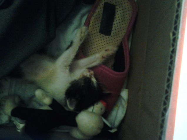 Little Love first days 3