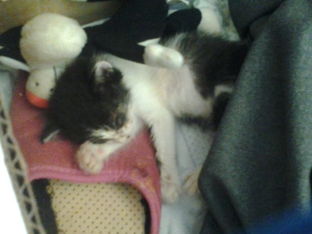 Little Love first days 5