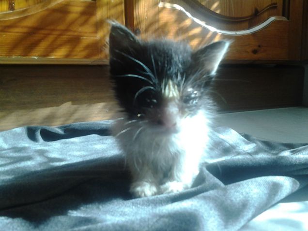 Little Love first days 7