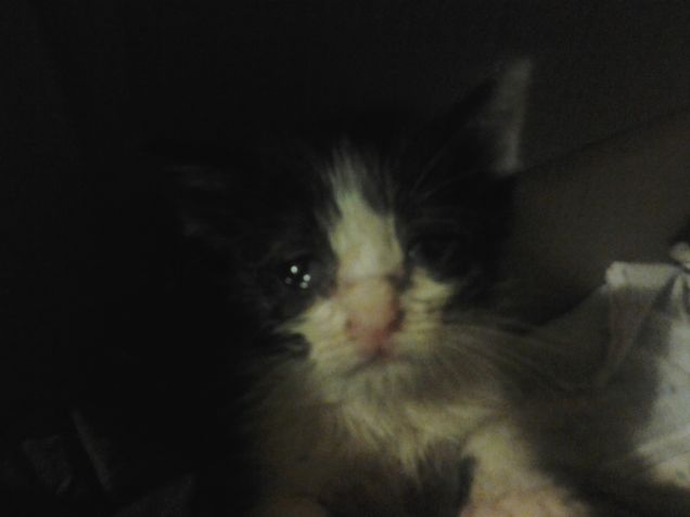 Little Love first days 9