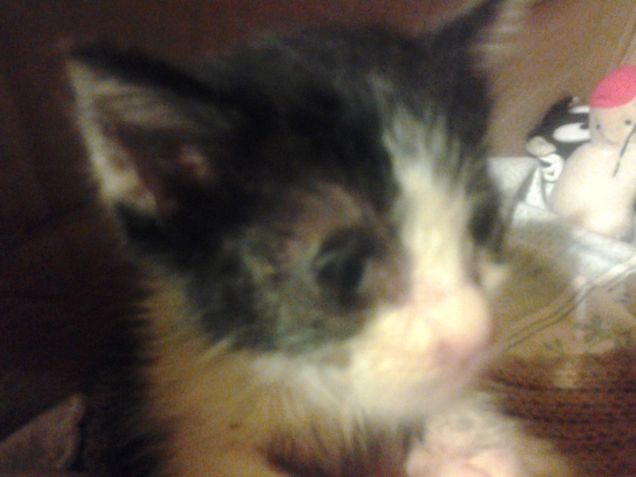 Little Love first days 10