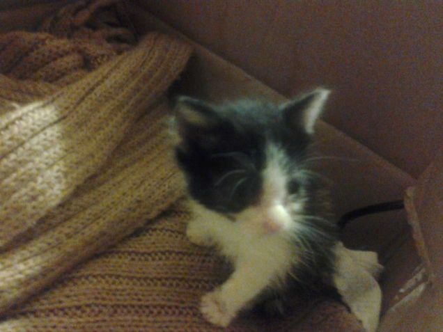 Little Love first days 11