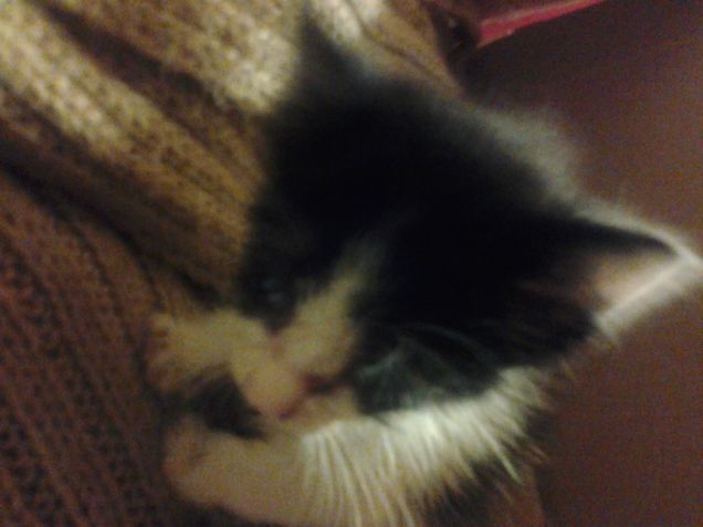 Little Love first days 12