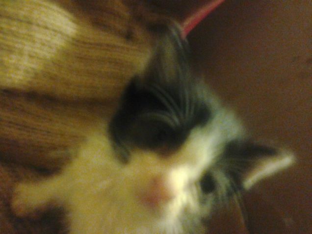 Little Love first days 13