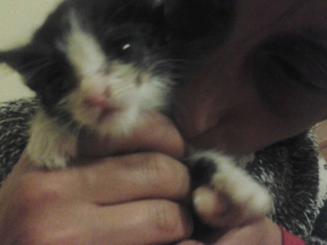 Little Love first days 14