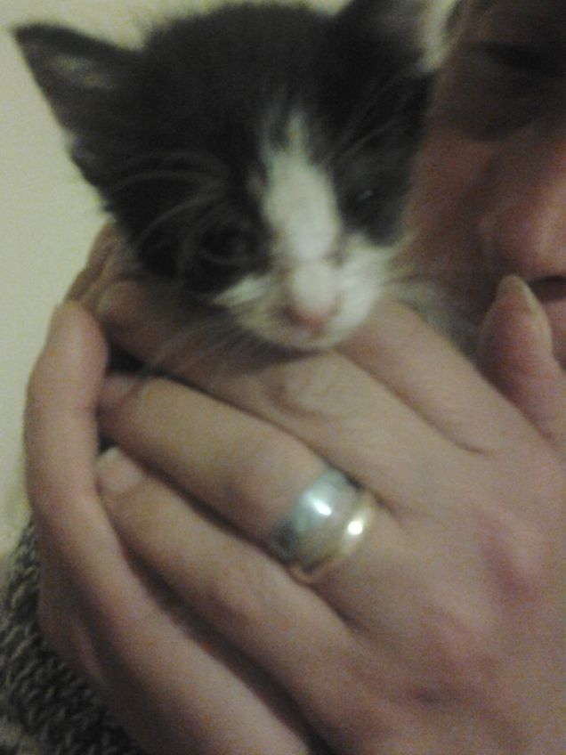 Little Love first days 15