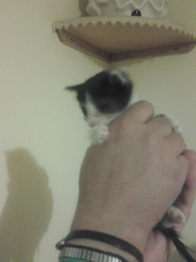 Little Love first days 16