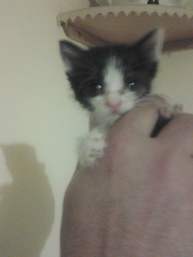 Little Love first days 17