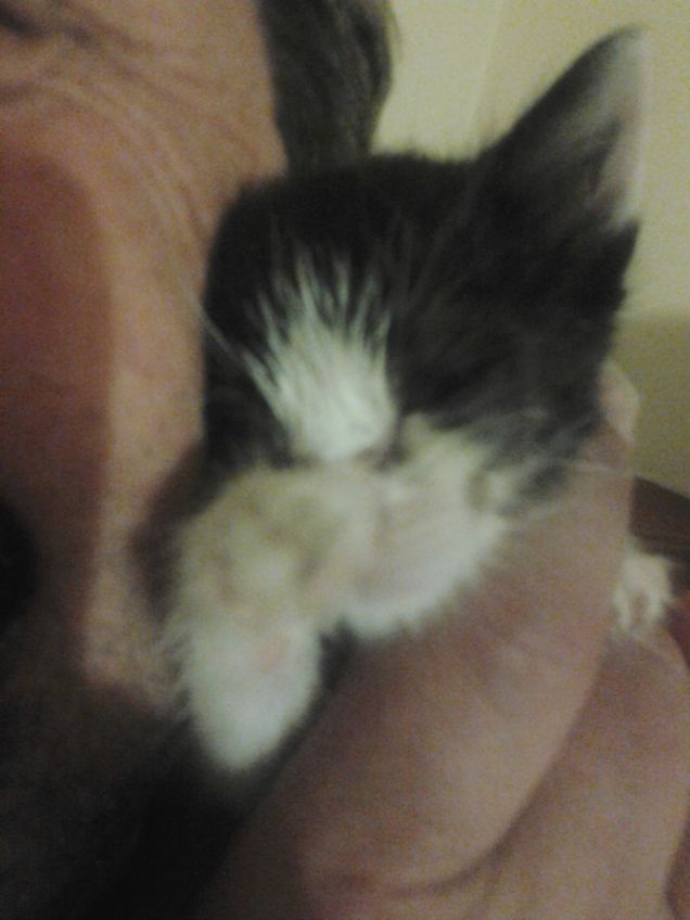 Little Love first days 18