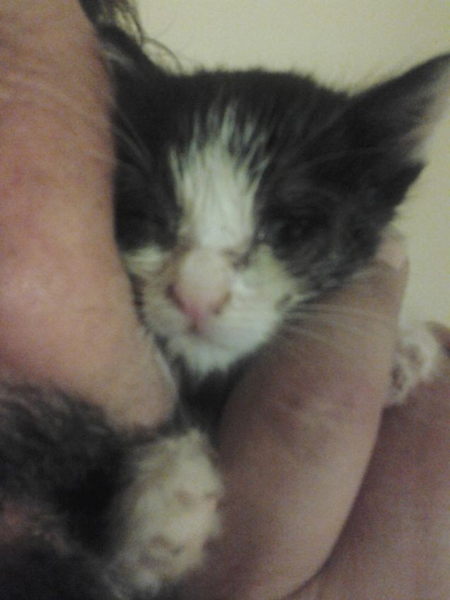 Little Love first days 19