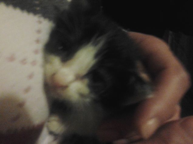 Little Love first days 20