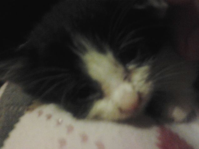 Little Love first days 21