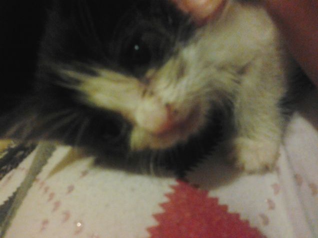 Little Love first days 22