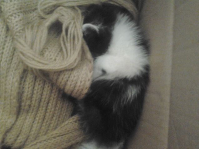 Little Love first days 23