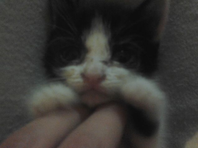 Little Love first days 25