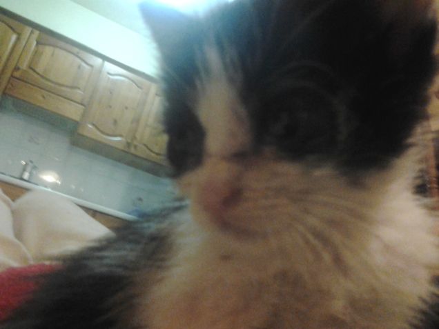 Little Love first days 26