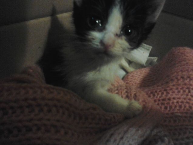 Little Love first days 28