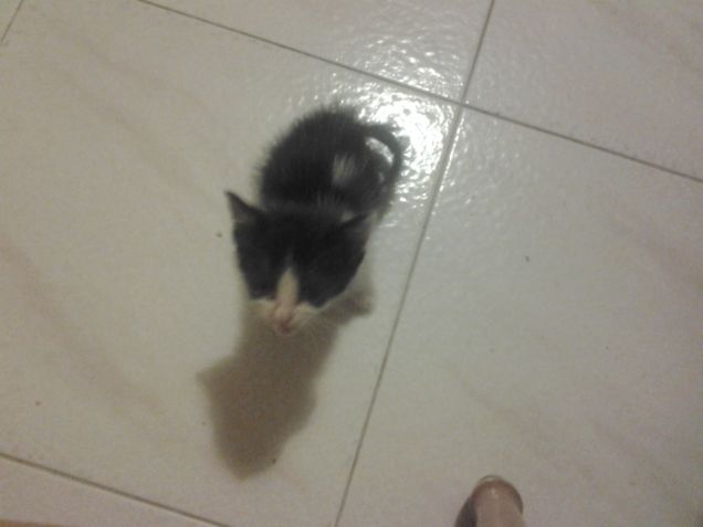 Little Love first days 29