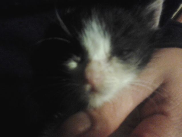 Little Love first days 31