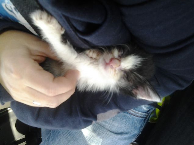 Little Love first days 32