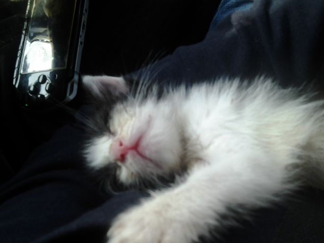 Little Love first days 33