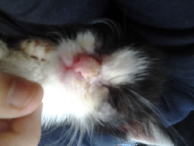 Little Love first days 34