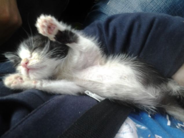 Little Love first days 35