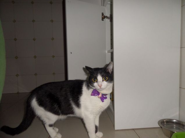 sua maestà Diana xD 17