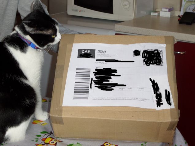 Diana & Creatura Nova 4