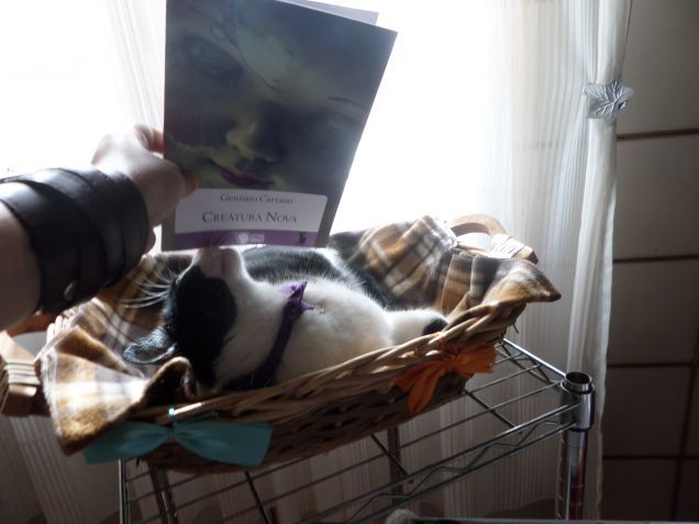 Diana & Creatura Nova 10