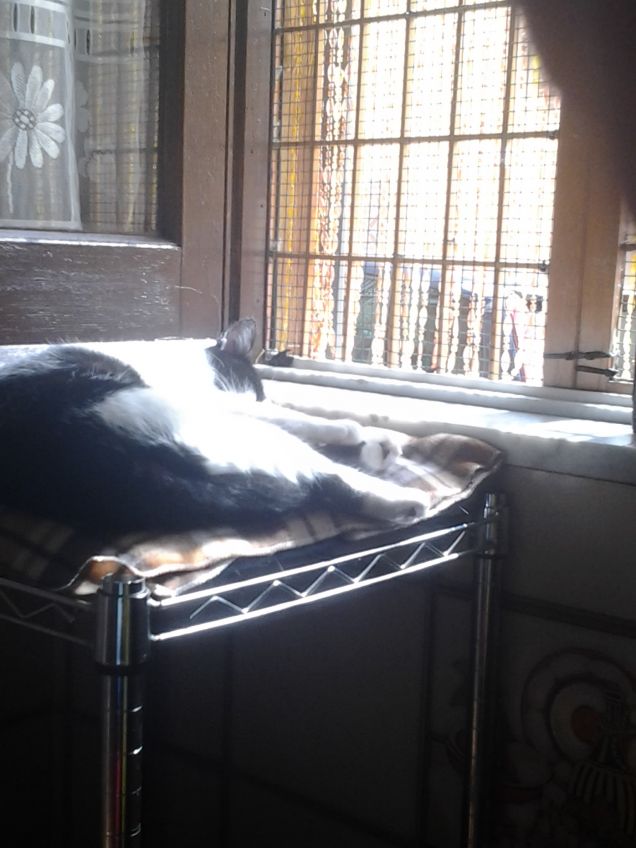 In un giorno qualsiasi