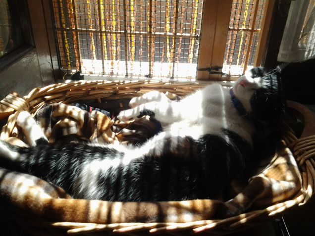 In un giorno qualsiasi 2