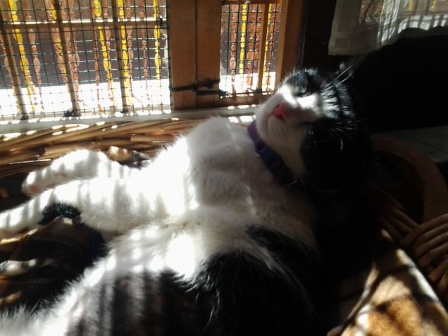 In un giorno qualsiasi 3