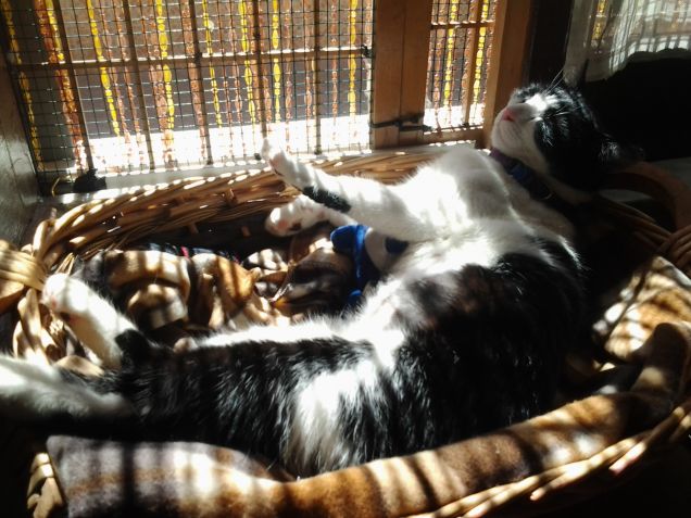 In un giorno qualsiasi 4