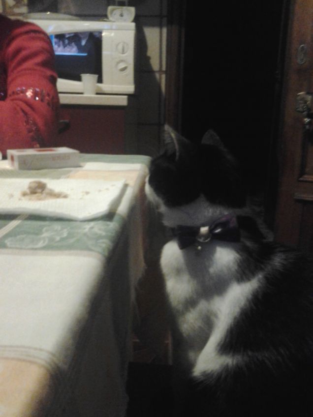 In un giorno qualsiasi 5